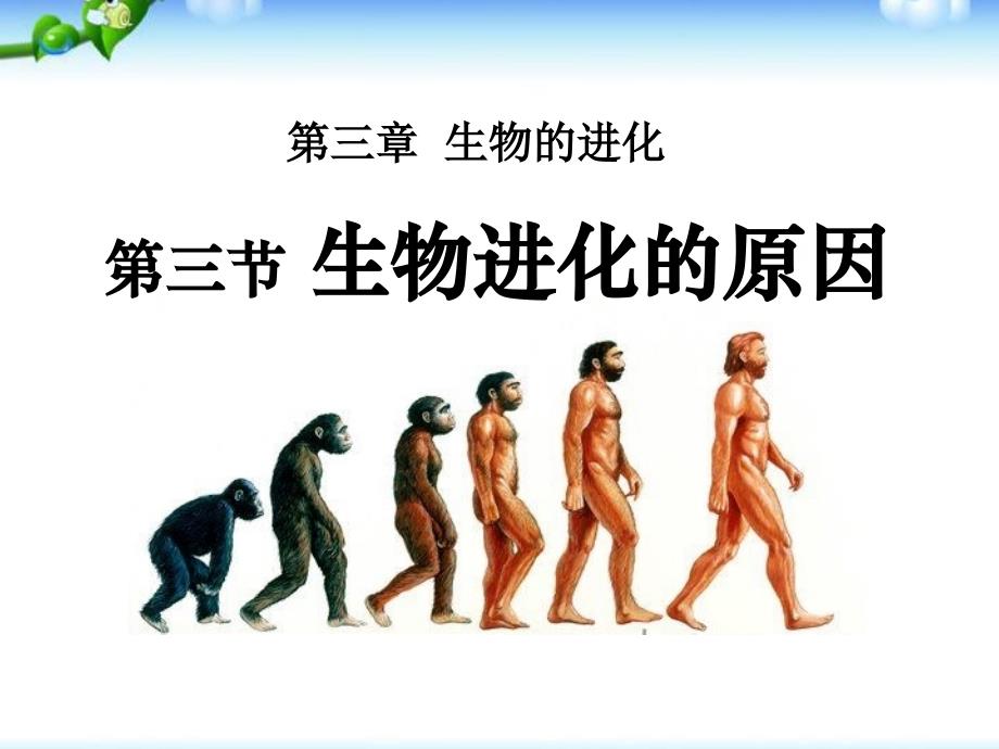 人教版八年级生物下《生物进化的原因》课件_第1页