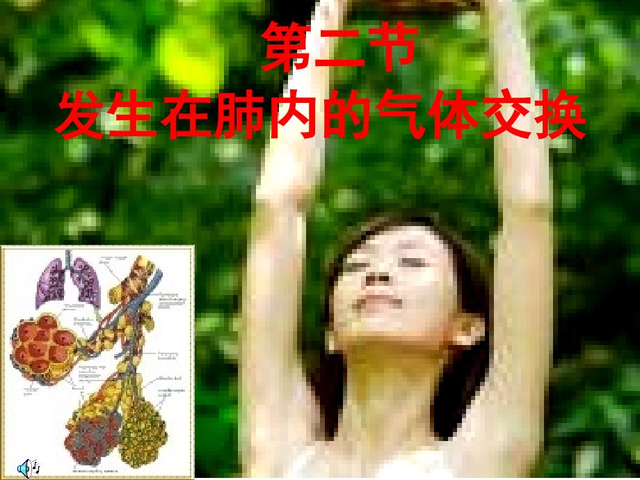 人教版初中生物七年级下册《发生在肺内的气体交换》课件_第1页