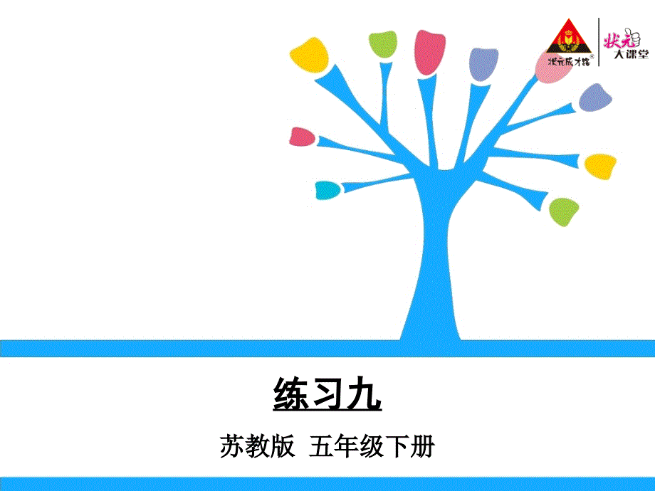 五年级数学下册练习九课件_第1页