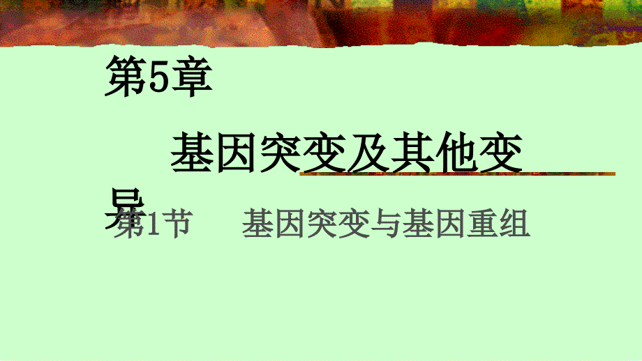 人教版必修2生物：51基因突变和基因重组课件_第1页