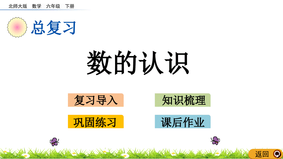 北师大版六年级数学下册总复习《数的认识》课件_第1页