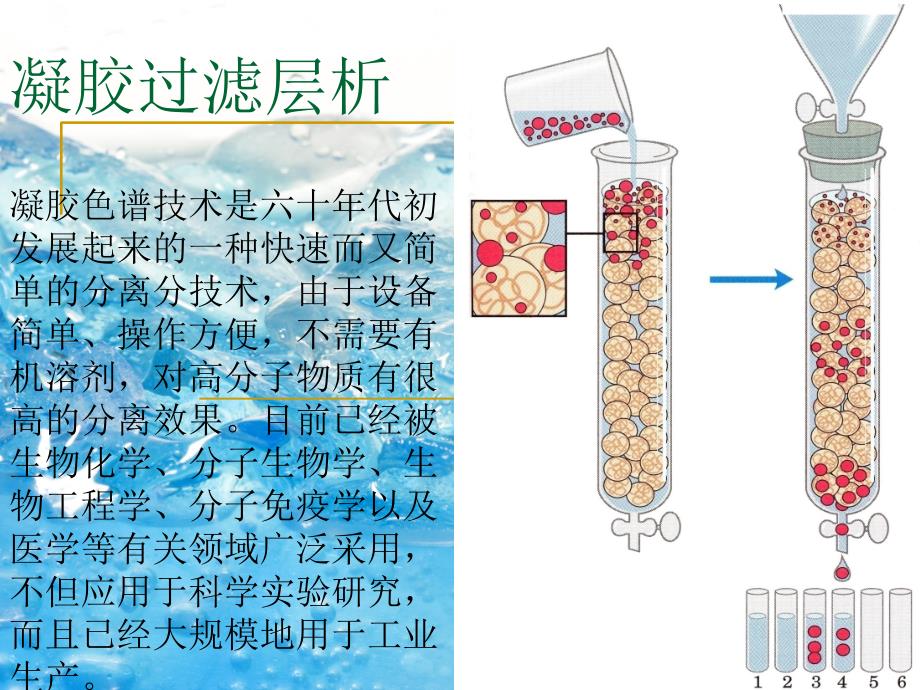 凝胶过滤层析2课件_第1页