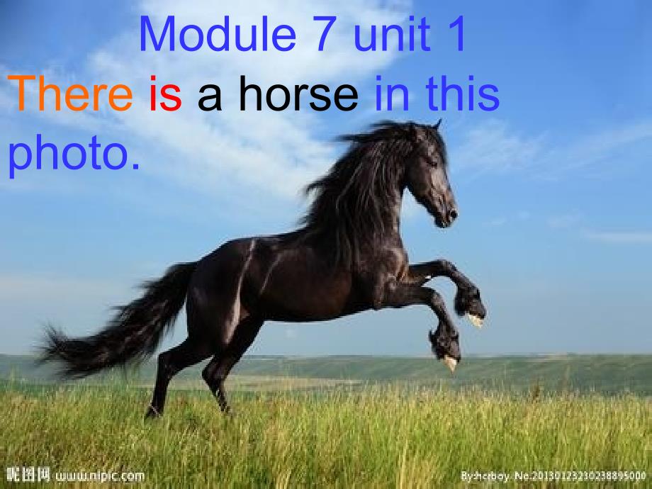 四年级英语M7U1There-is-a-horse-in-this-photo课件_第1页