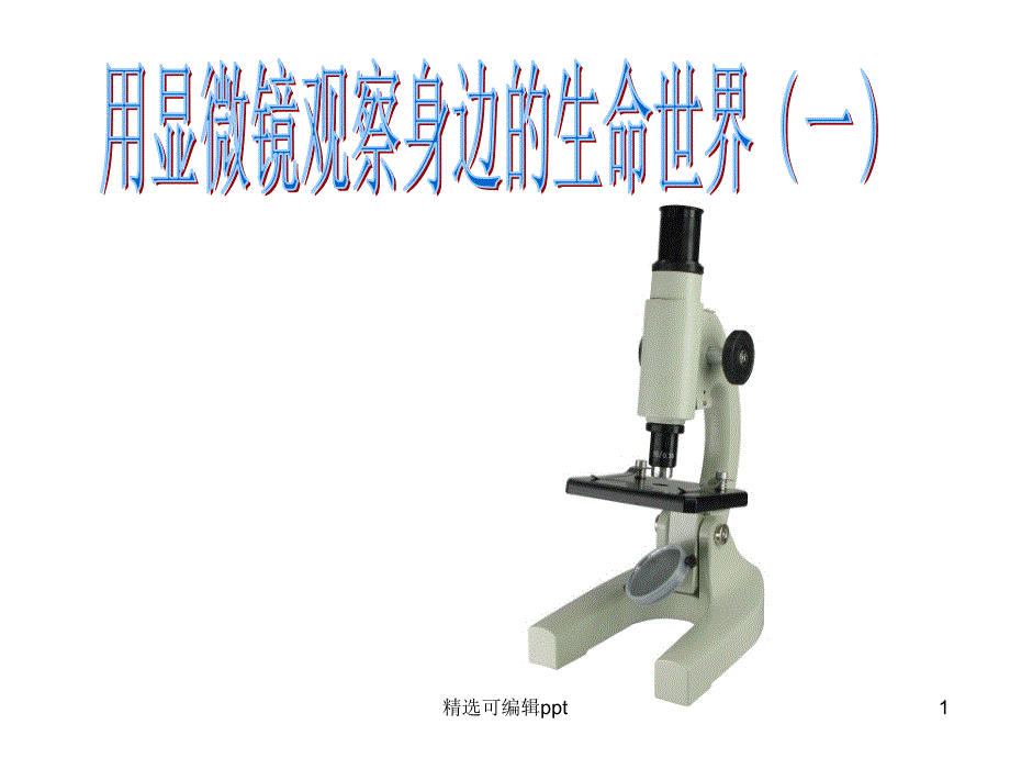 制作洋葱标本课件_第1页