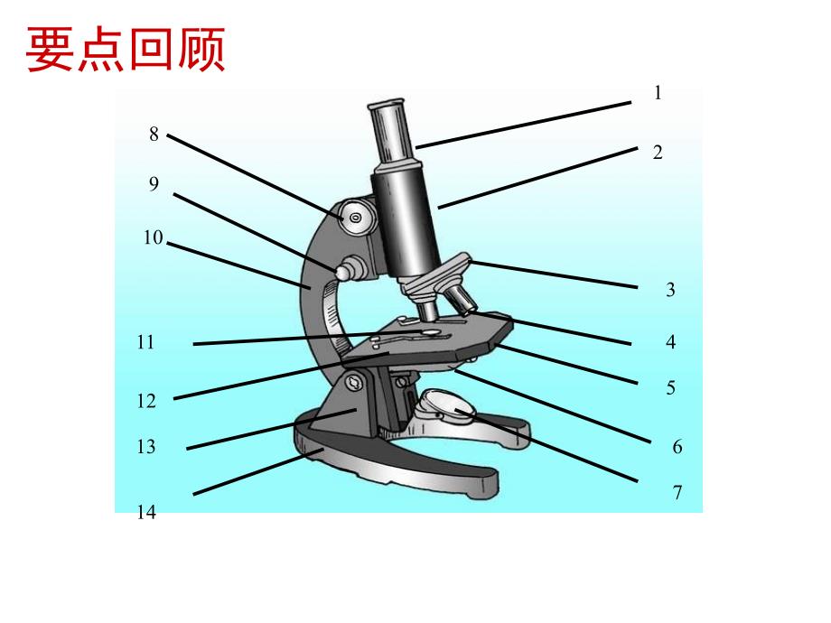 冀教版七年级生物第二节-学会观察上册课件_第1页