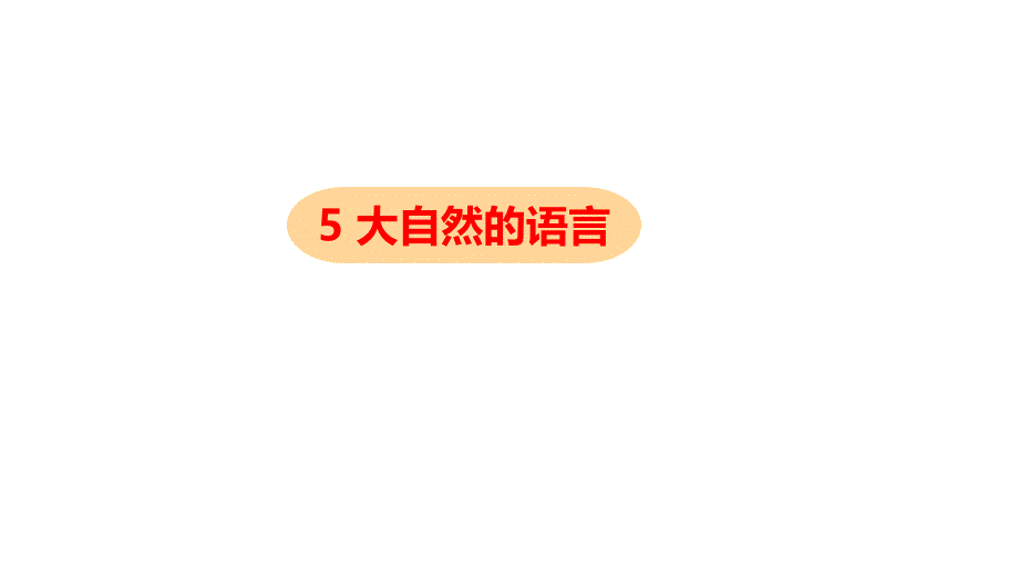 八年级语文部编版下册《大自然的语言》课件-3_第1页