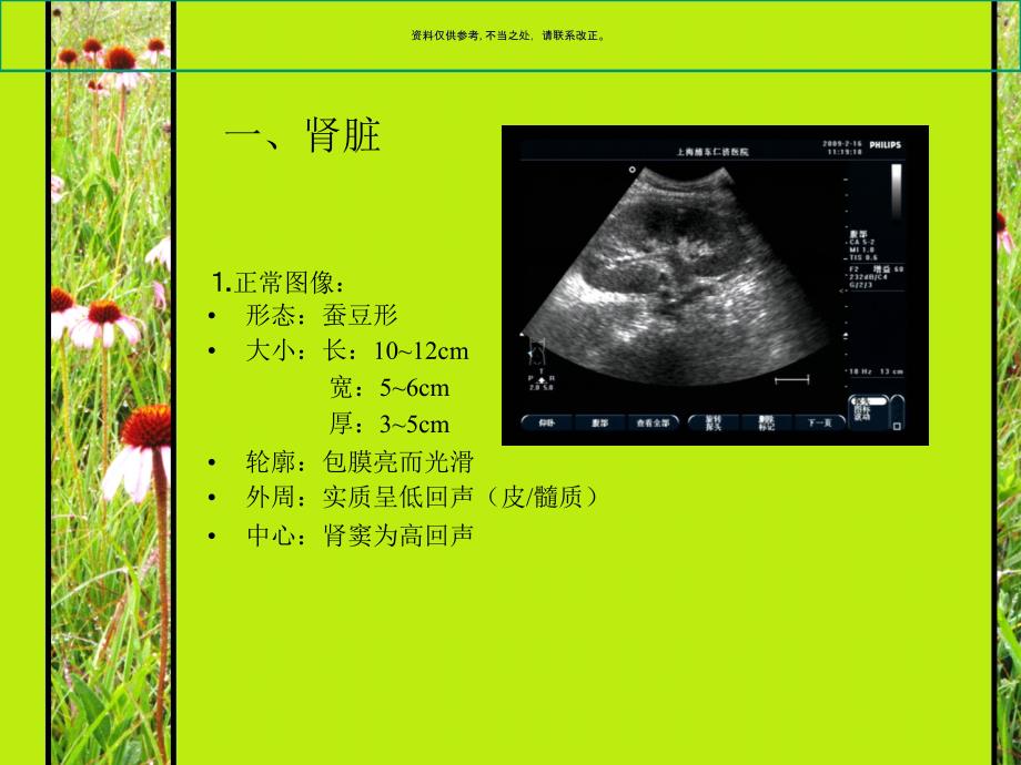 泌尿系超声诊断_第1页