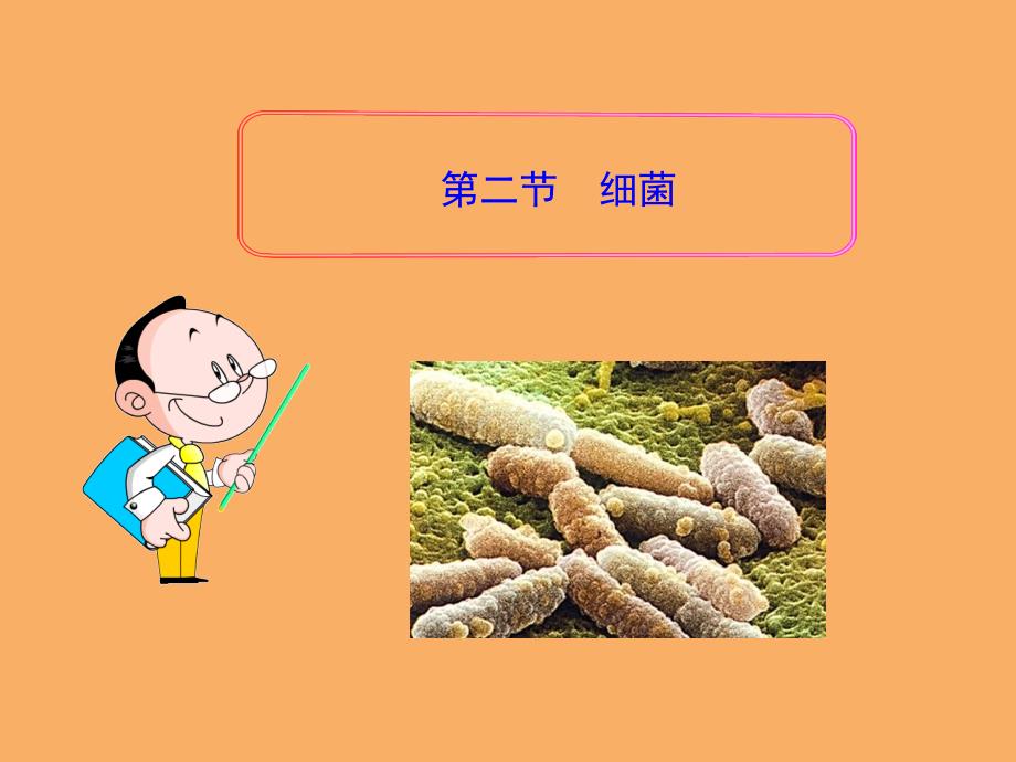 八年级生物细菌1-1优秀课件_第1页