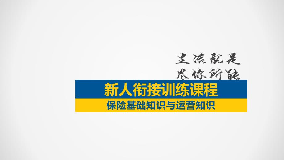 保险基础知识与运营知识含备注课件_第1页