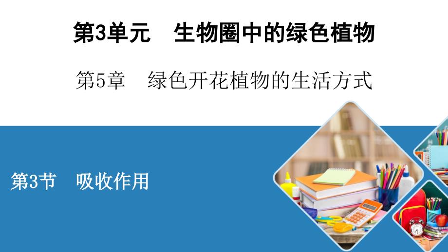 北师大生物七年级上册吸收作用课件_第1页