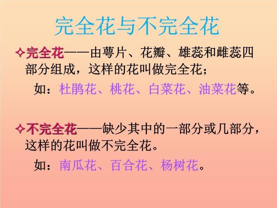 四年级科学下册-2-新的生命-3-花-果实和种子课件-教科版_第1页