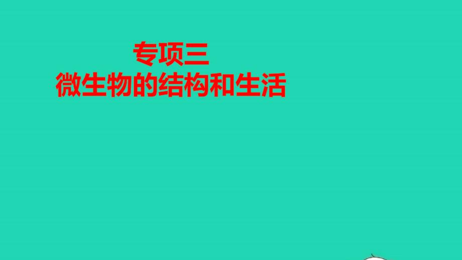 八年级生物上册期末专项复习三微生物的结构和生活作业课件新版新人教版_第1页