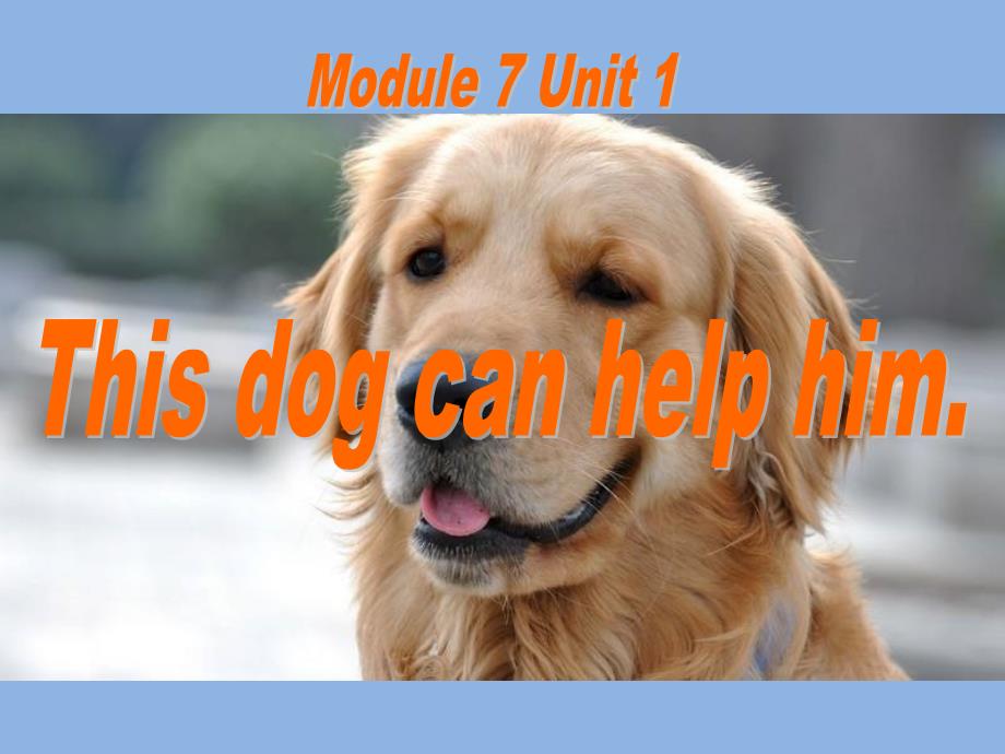 外研版(一起)五上Module-7《Unit-1-This-dog-can-help-him课件_第1页