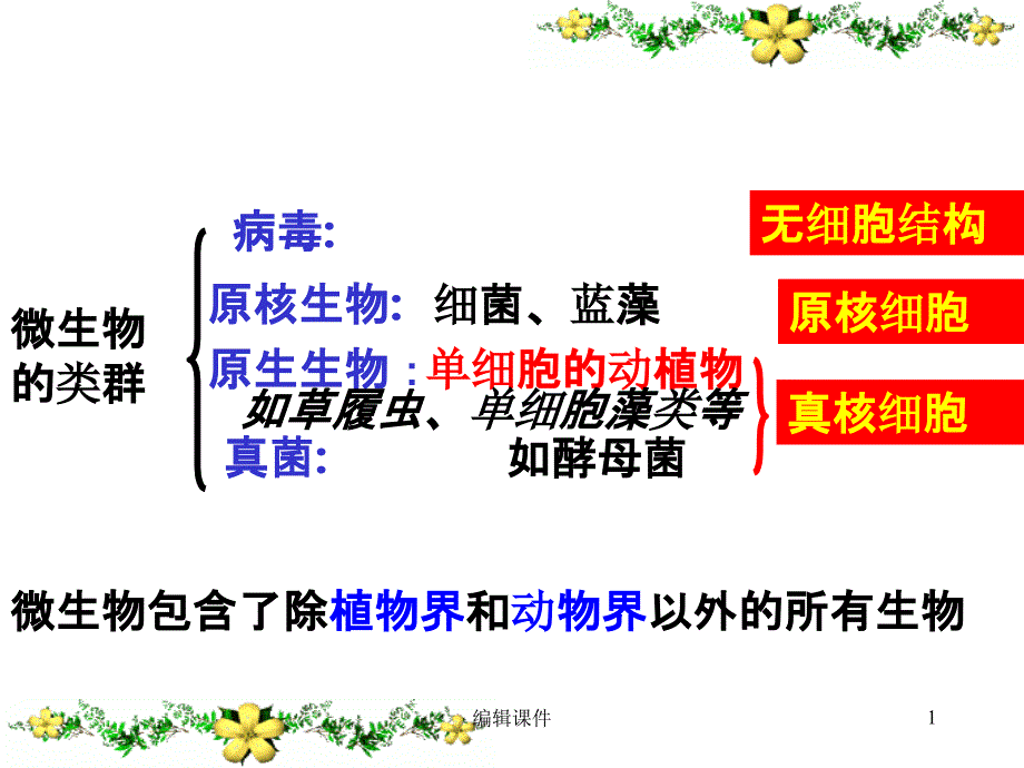 微生物的实验室培养经典课件_第1页