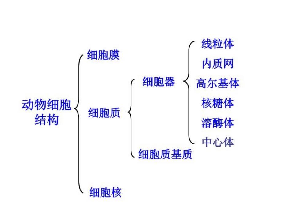 必修一第四章复习课件_第1页