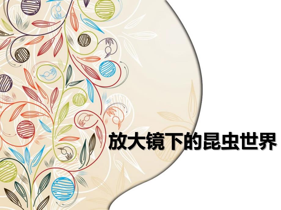 教科版科学六年级下册放大镜下的昆虫世界课件_第1页