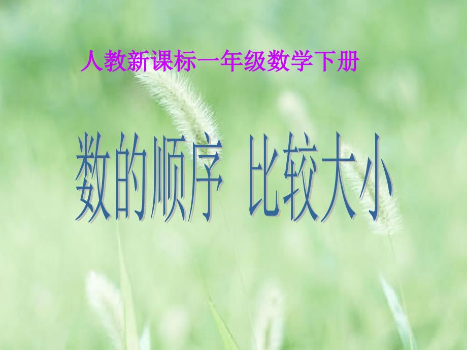 数的顺序比较大小教学课件_第1页