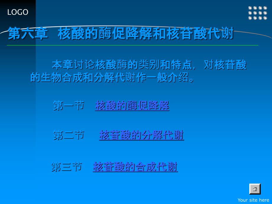 核酸的酶促降解和核苷酸代谢2课件_第1页