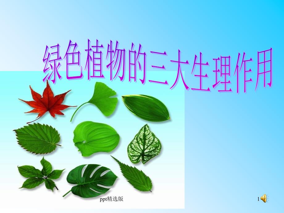 植物的三大生理作用64615课件_第1页