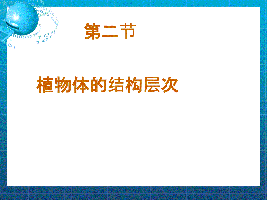 植物体的结构层次2上课件_第1页