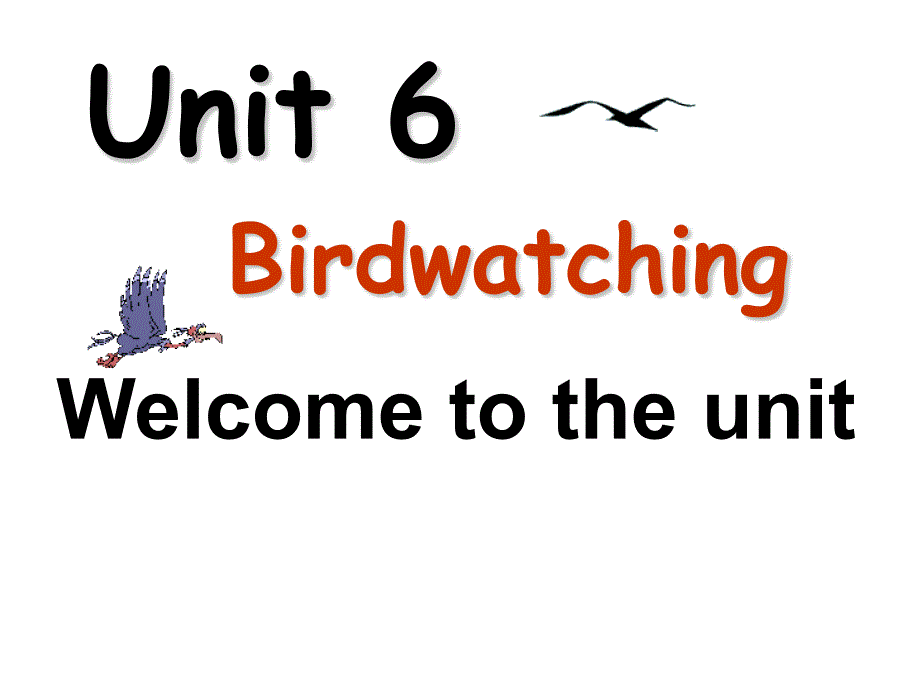 最新牛津译林版八年级英语上册《Unit-6-Bird-watching-Welcome-to-the-Unit》课件_第1页