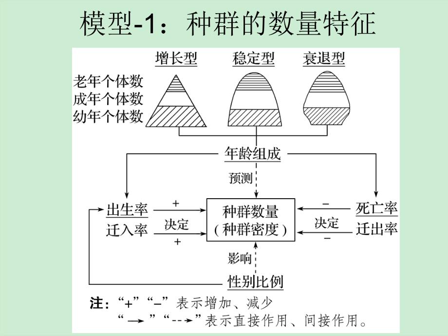 新教材生物人教版选择性必修二单元复习-第1章-种群及其动态课件_第1页