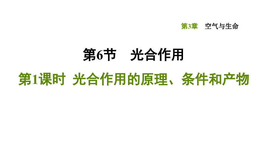 浙教版科学《光合作用》优秀课件3_第1页