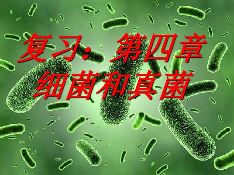 细菌和真菌复习课课件-2021——2022学年人教版生物八年级上册_第1页