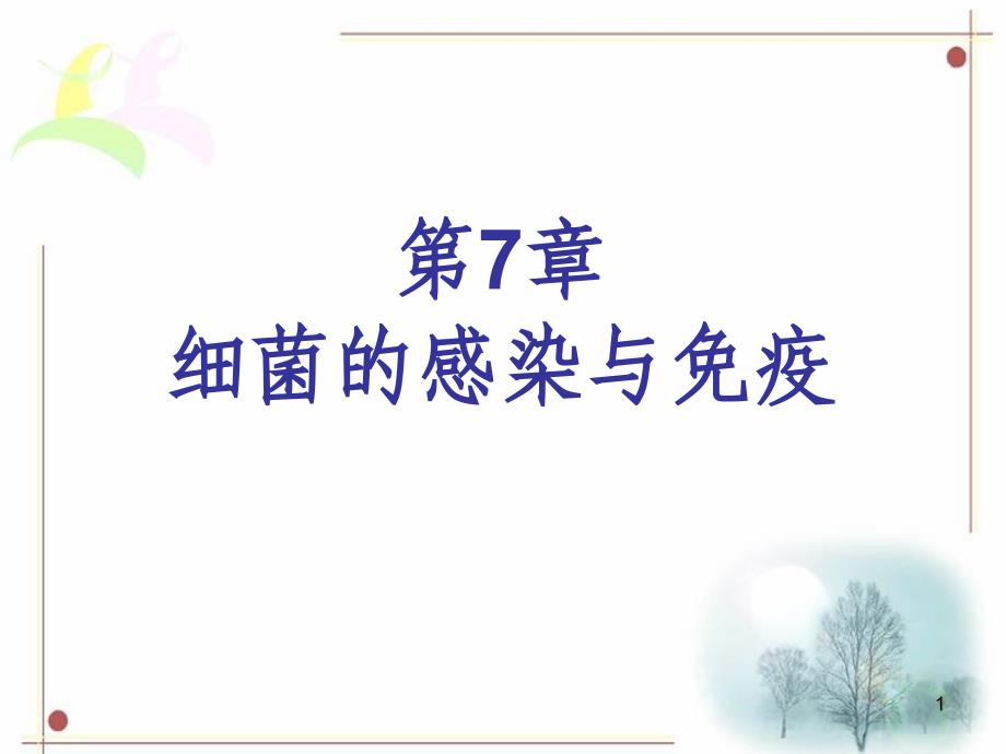 细菌的感染与免疫4演示文稿课件_第1页