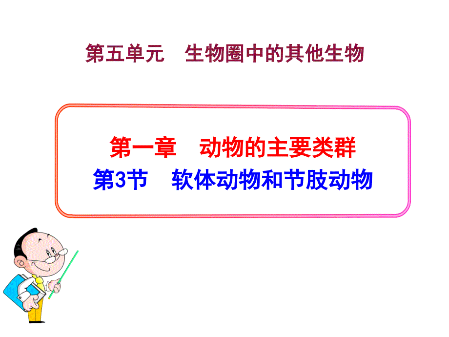 生物八年级上册第五单元第一章第三节-《软体动物和节肢动物》省优质课获奖课件_第1页