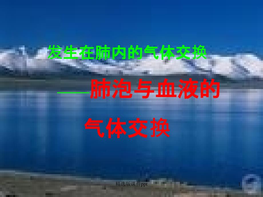 肺泡与血液的气体交换课件_第1页