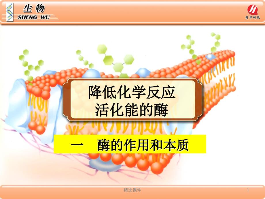 生物学①必修降低化学反应活化能的酶课件_第1页