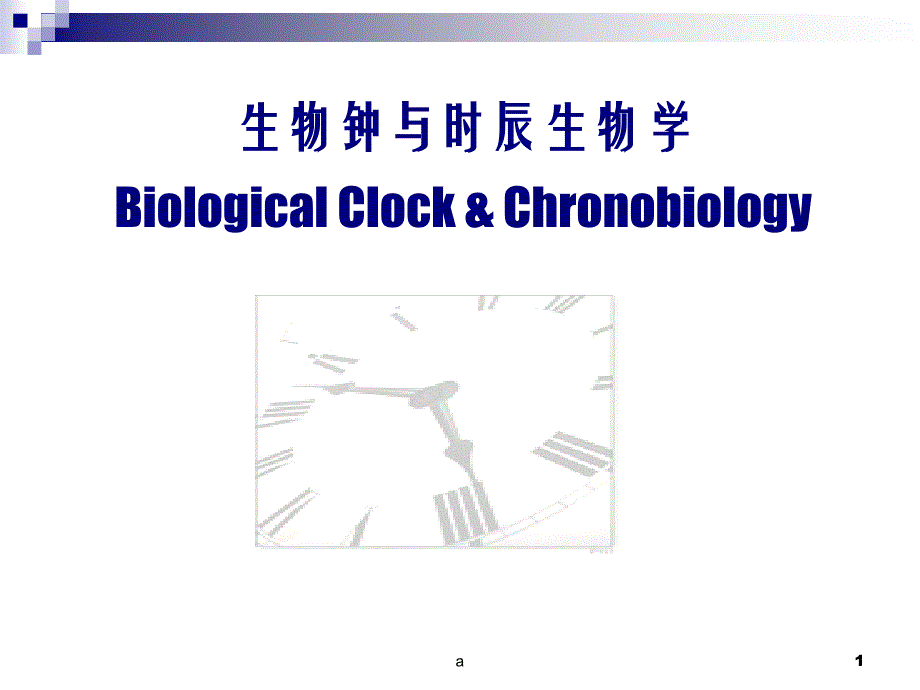 生物钟与时辰生物学课件_第1页