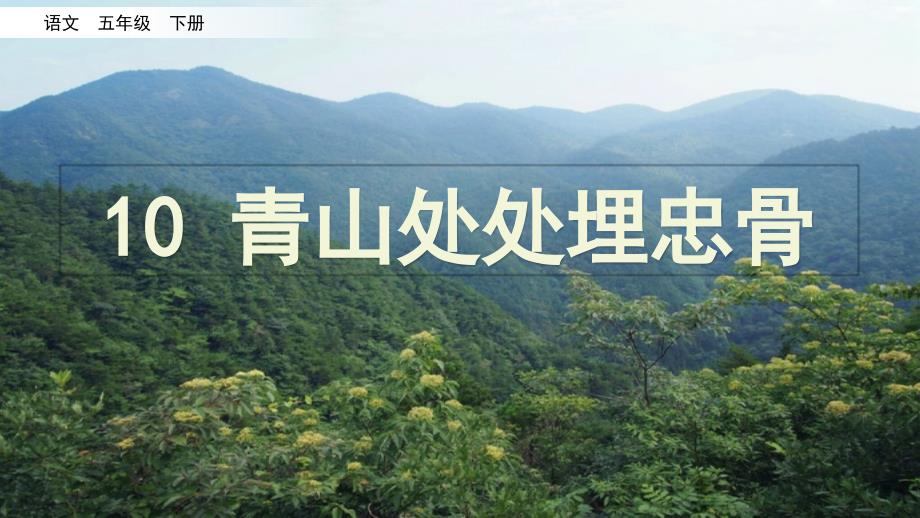 統(tǒng)編本《青山處處埋忠骨》課件五年級下冊第10課_第1頁