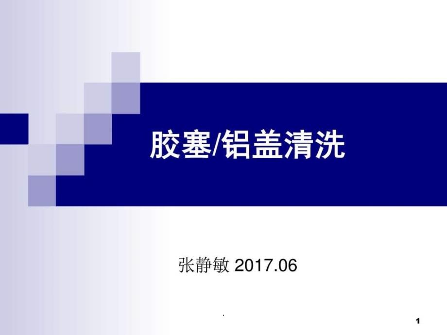 胶塞铝盖清洗课件_第1页