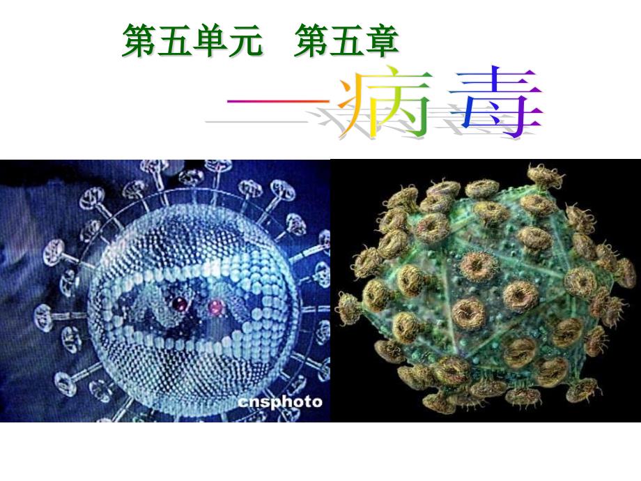 病毒-课件2021——2022学年人教版初中生物八年级上册-4_第1页