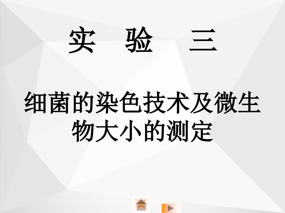 细菌的染色技术及大小的测定课件_第1页