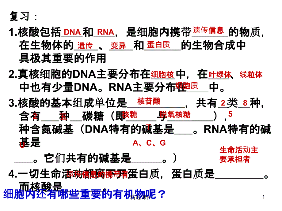 细胞中的糖类和脂质1课件_第1页