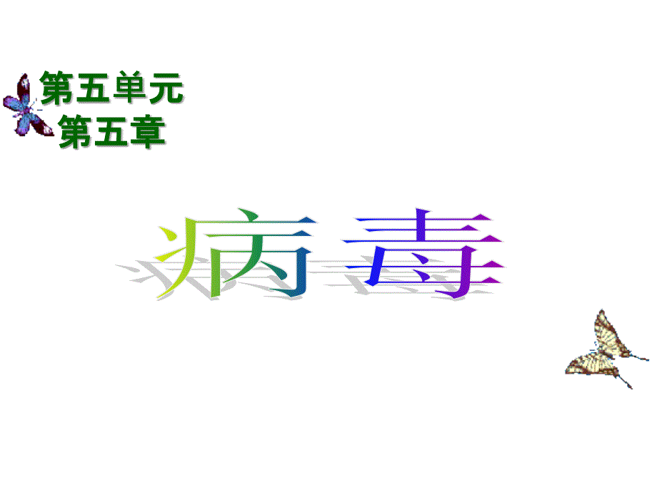 病毒-课件2021——2022学年人教版初中生物八年级上册-1_第1页