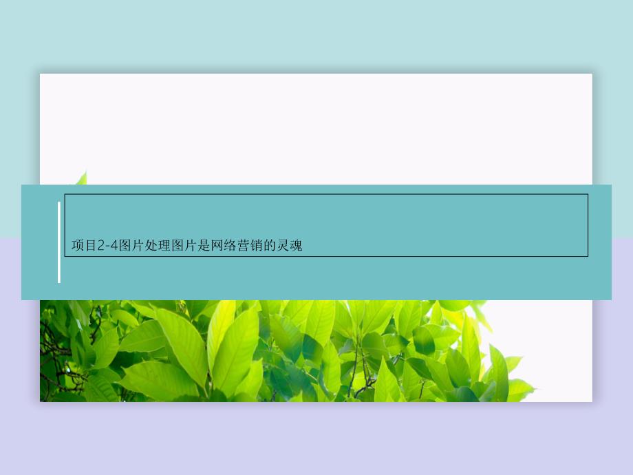 项目2-4图片处理图片是网络营销的灵魂课件_第1页