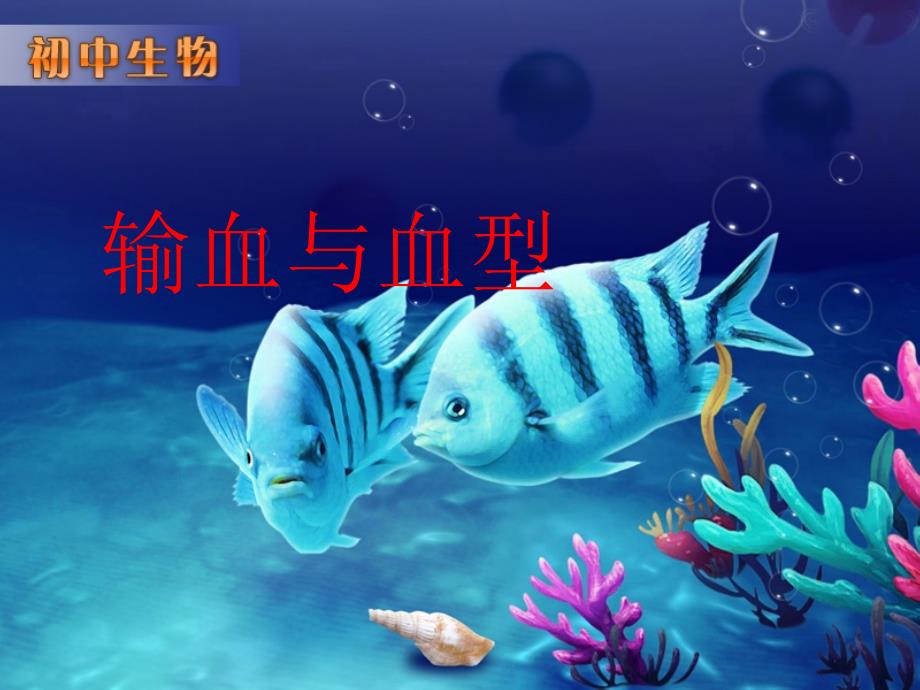 输血与血型-初中生物人教版七年级下册课件1_第1页