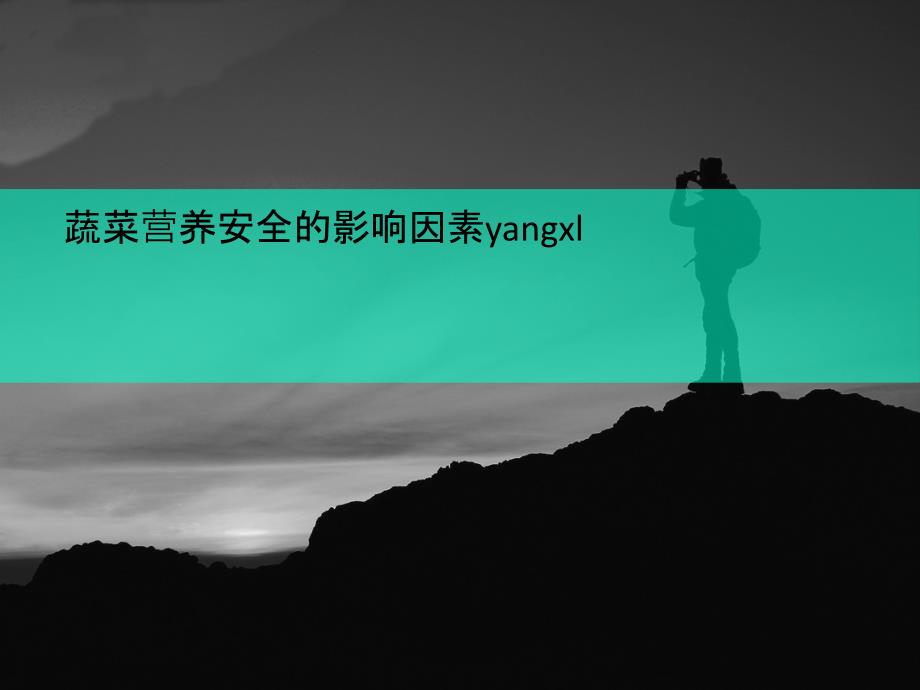 蔬菜营养安全的影响因素yangxl课件_第1页