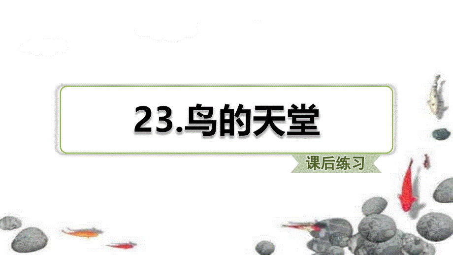 部编版(统编版)五年级语文上册七单元第23课《鸟的天堂》习题课件_第1页