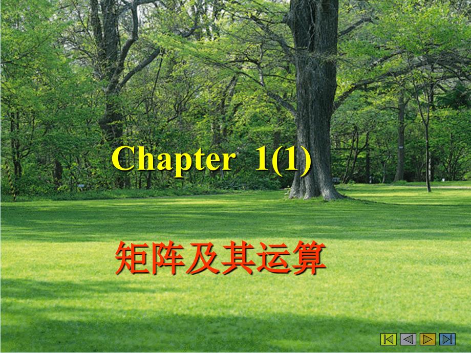 2chapter1(1)矩阵及其运算_第1页