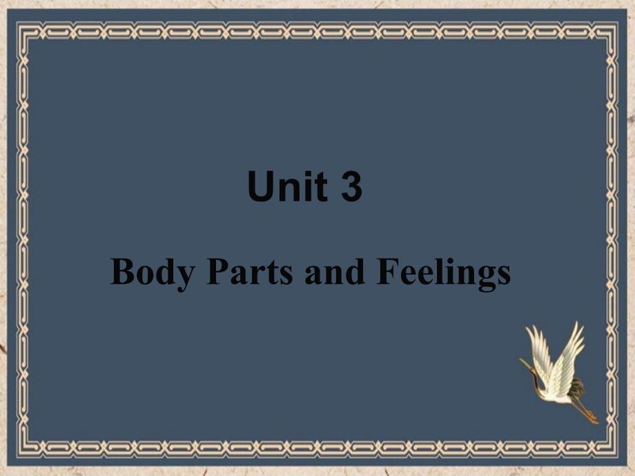 萝北县某中学七年级英语上册Unit3BodyPartsandFeelingsLesson13BodyP课件_第1页