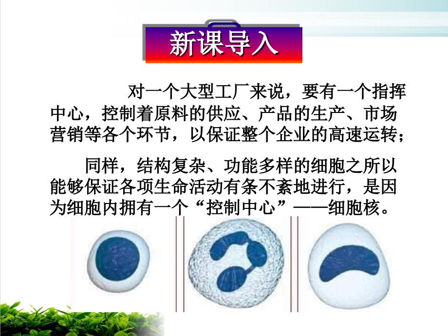 人教版生物必修一《细胞核——系统的控制中心》教学实用课件_第1页