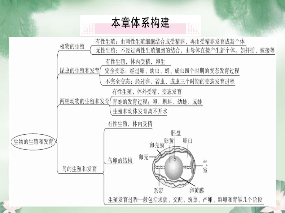 八年级生物下册生物的生殖和发育小结与复习习题课件新版新人教版_第1页