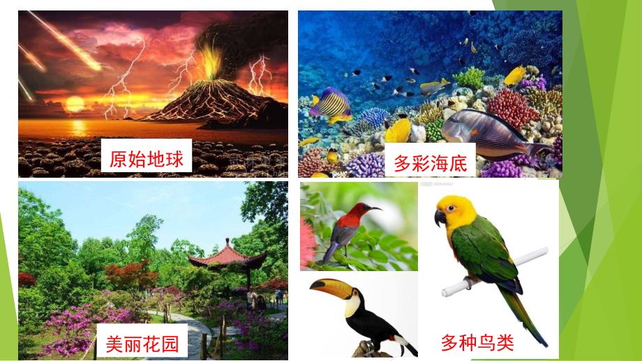 【新教材生物】《协同进化与生物多样性的形成》课件1_第1页