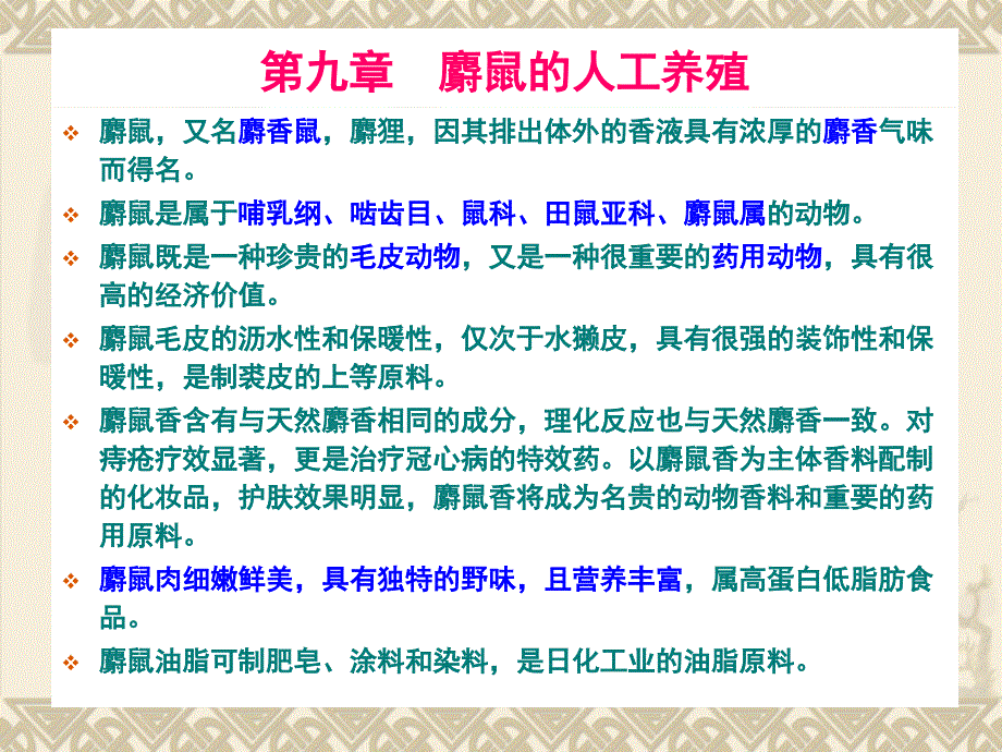 麝鼠的人工养殖基础知识课件_第1页