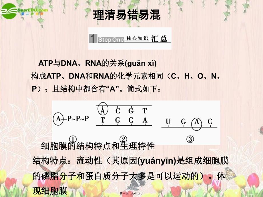 高考生物二轮复习-第三部分-理清易错易混课件_第1页